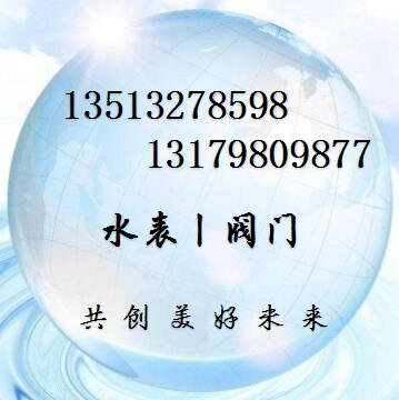 供應(yīng)新疆水表