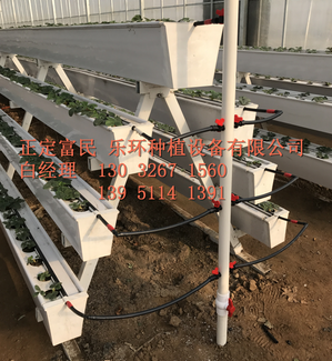 蔬菜基質(zhì)栽培架  草莓立體栽培槽  草莓育苗槽