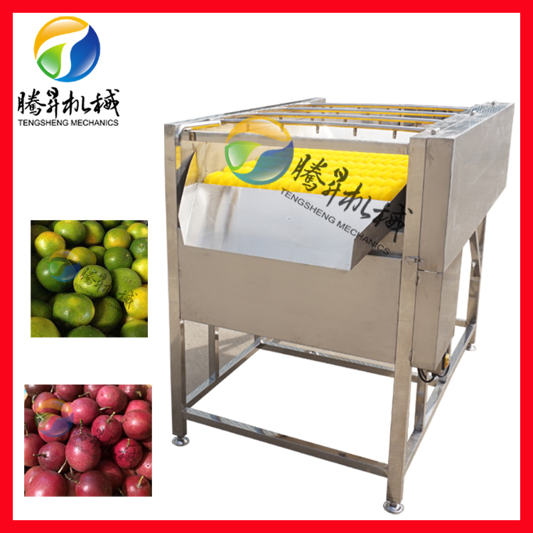 洗果機 毛刷清洗機 電動毛刷噴淋清洗機