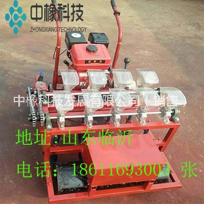 精量播種機(jī)廠家直銷可定制