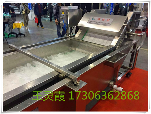 全自動連續(xù)蔬菜沖浪清洗機
