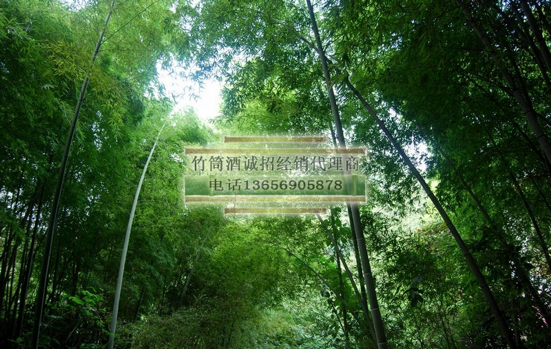 內(nèi)蒙竹筒酒--青竹酒巴彥淖爾代理 原生態(tài)52度竹釀酒興安盟市場(chǎng)分銷