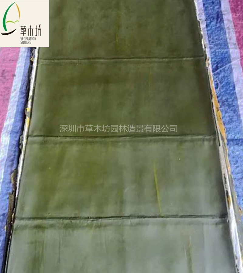 竹子皮 竹子 仿真竹子 管道裝飾 景區(qū)園林造景裝飾*