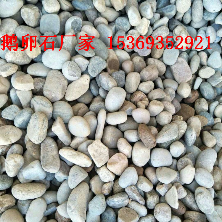 鵝卵石廠家電話 天然鵝卵石價格 黑色白色鵝卵石 雨花石用途及功效