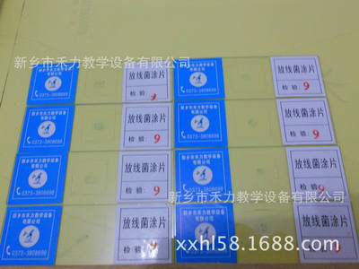 生物切片標(biāo)本 微生物學(xué)切片 放線(xiàn)菌涂片 *涂片裝片
