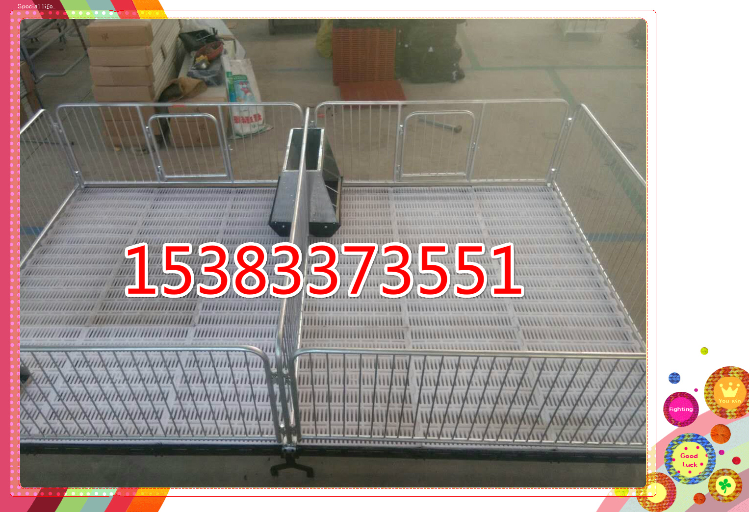 雙體保育床價(jià)格小豬床雙體保育床    育肥豬床