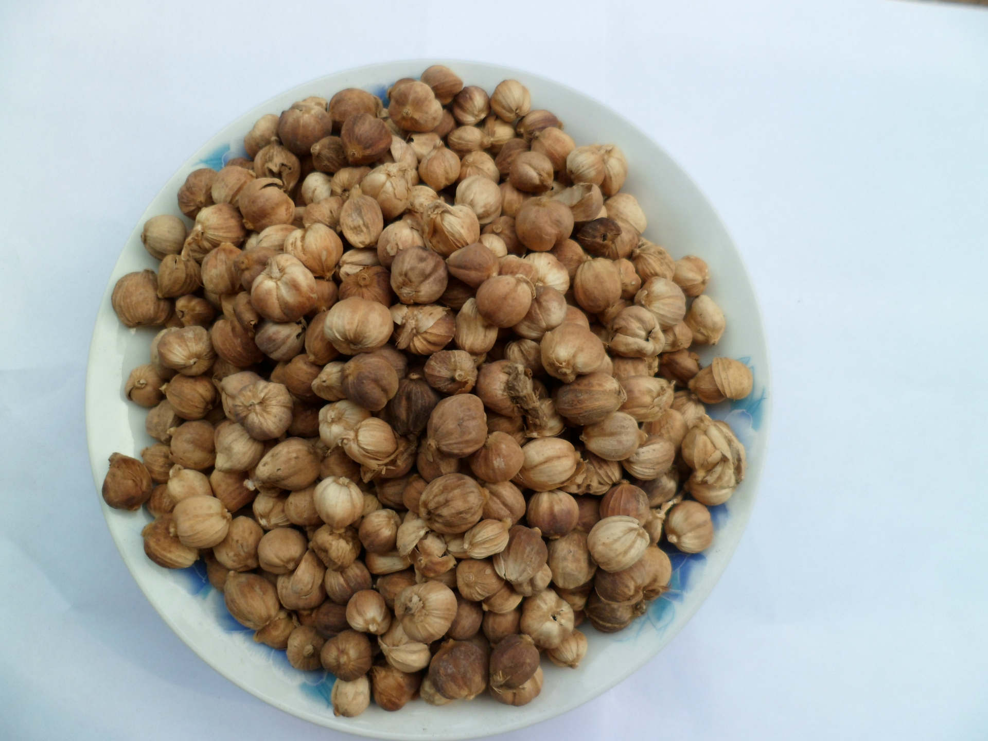 豆蔻粉 肉蔻粉 白扣粉 廠家直銷