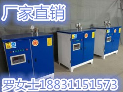 2018新款蒸汽發(fā)生器