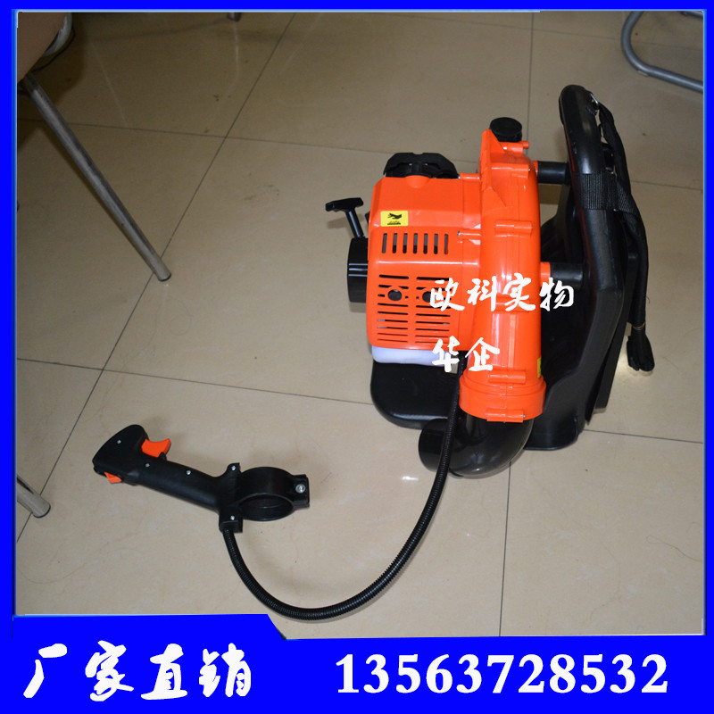 路面樹葉吹風機 森林滅火器 小型路面樹葉吹風機 森林滅火器 小型