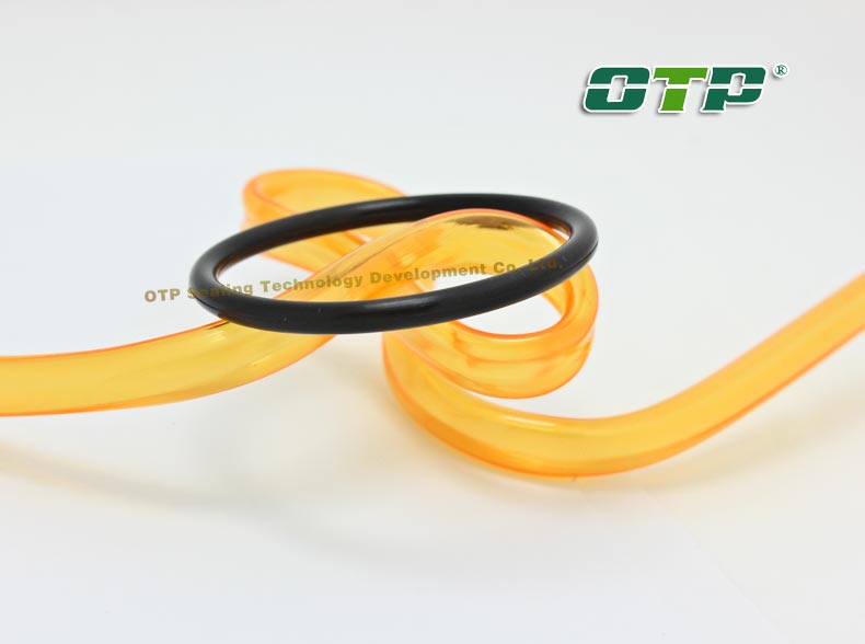 耐腐蝕氟膠橡膠密封件