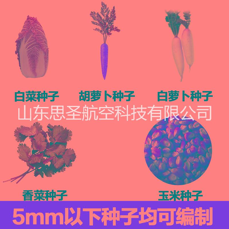 思圣播種機/種子帶/紙繩帶/胡蘿卜/白蘿卜/白菜/大蔥快菜編織機用