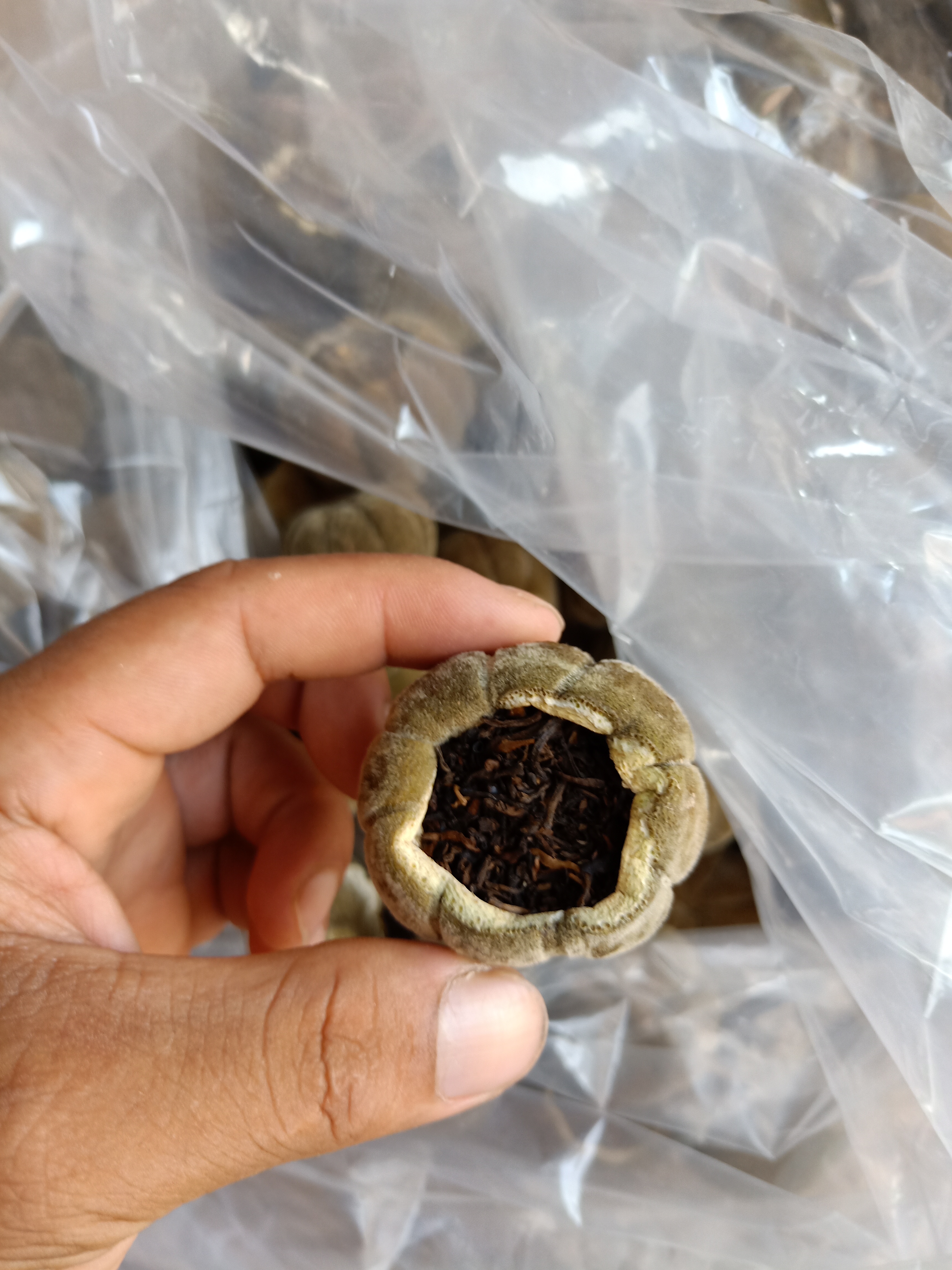 橘紅果化橘紅橘紅片橘紅花橘紅普洱茶緣來香橘紅產(chǎn)業(yè)園