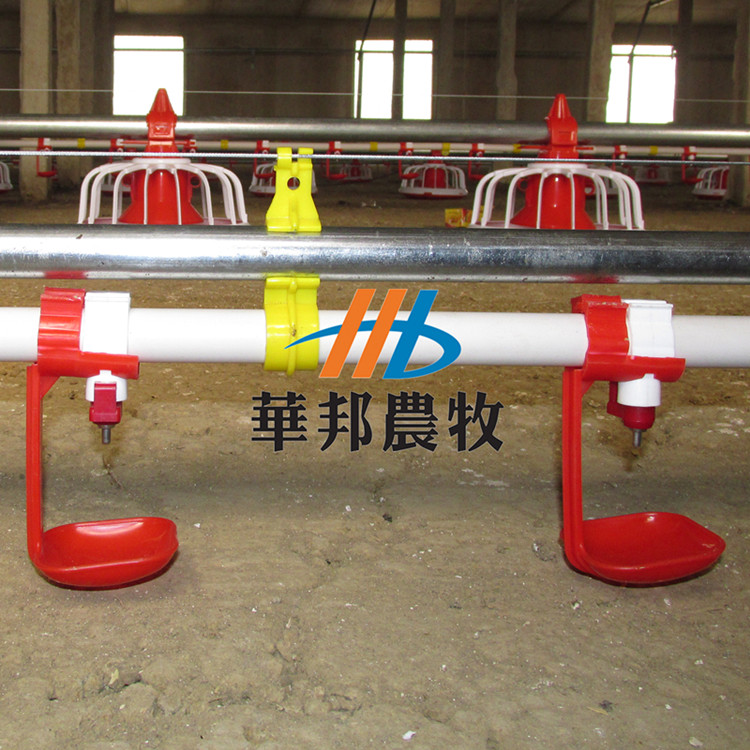 山東華邦供應自動化養(yǎng)雞水線