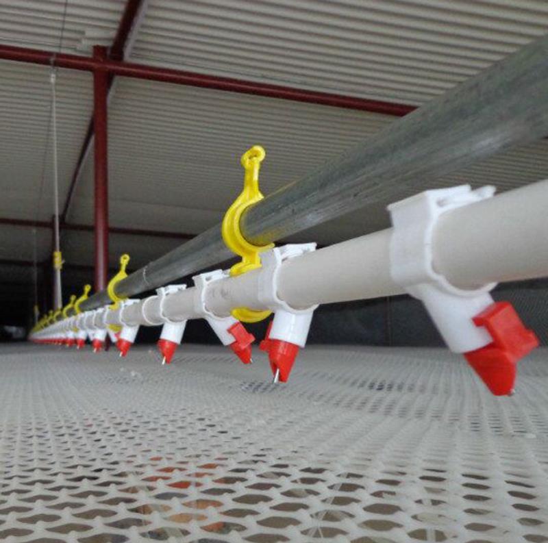 山東華邦供應自動化養(yǎng)雞水線