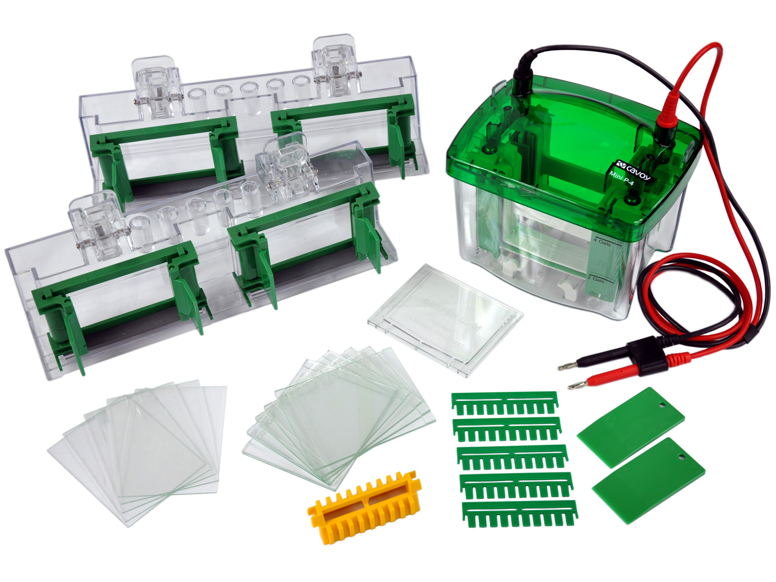 凱元 CAVOY 垂直電泳 Mini P-4 小型垂直電泳 可匹配伯樂