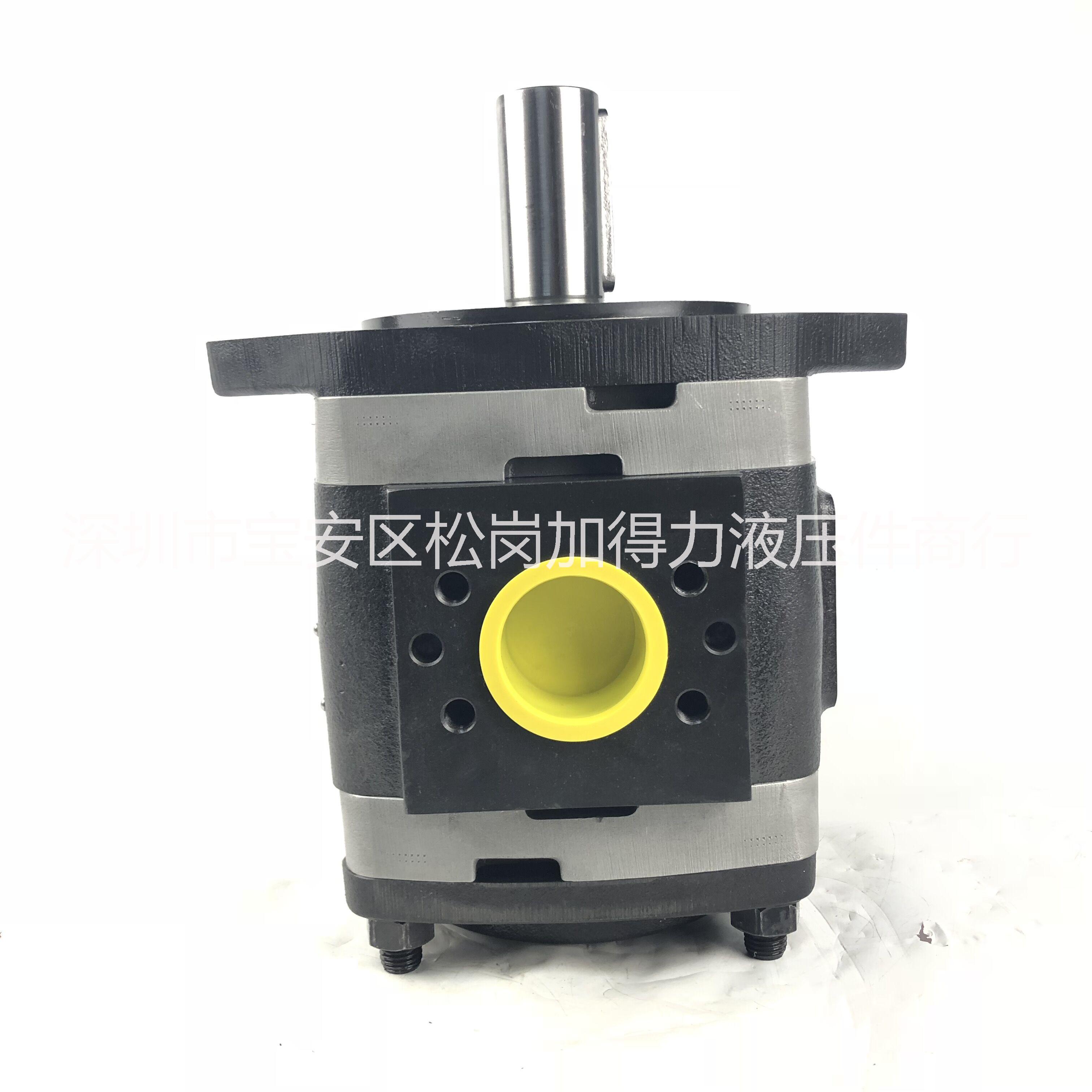 注塑機(jī)配件IPV5油泵福伊特VOITH雙聯(lián)油泵 IPV5/-64+IPV5/-64