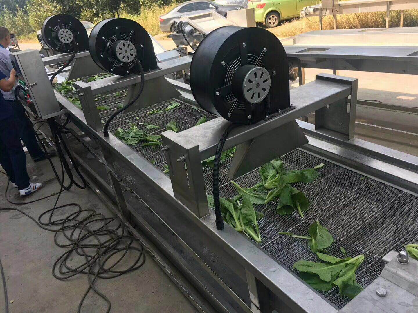 凈菜加工流水線  廠家供應(yīng)果蔬深加工設(shè)備 清洗風(fēng)干漂燙機(jī)器