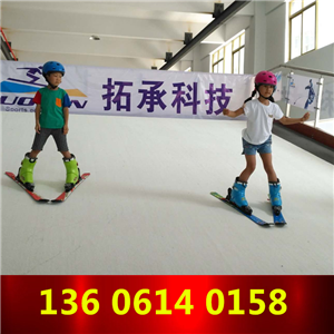 學(xué)校室內(nèi)滑雪機(jī)廠家 室內(nèi)滑雪機(jī)廠家 室內(nèi)模擬滑雪機(jī)