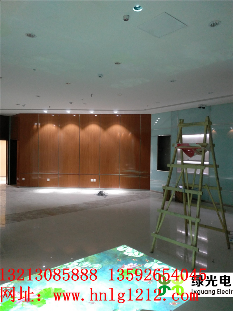 河南地面互動(dòng).互動(dòng)魚(yú)塘.蓮花互動(dòng).互動(dòng)走廊.互動(dòng)隧道