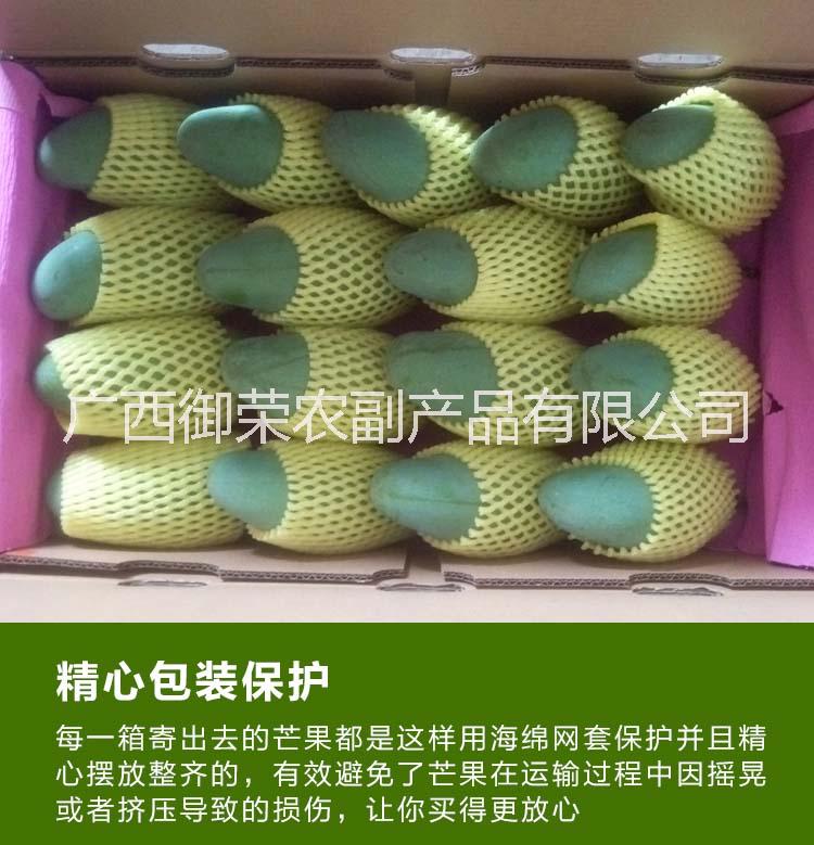 廣西水果供應(yīng) 砂糖桔 芒果 百香果 桂七芒