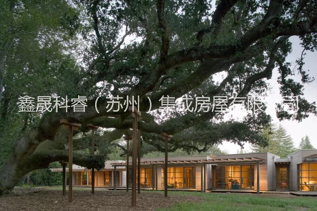 被動(dòng)房 被動(dòng)房1