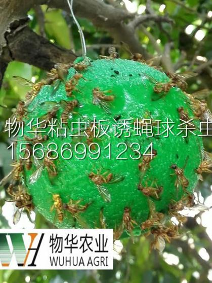 物理方式殺蟲_物理防治害蟲就用物華牌太陽能殺蟲燈