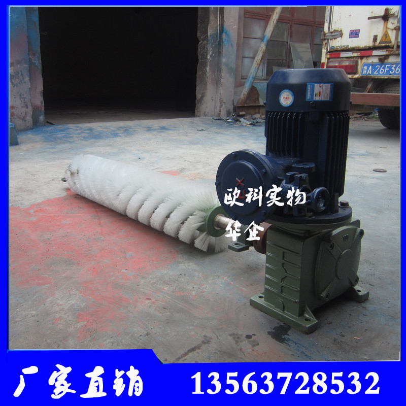 電動滾刷掃煤器 皮帶機(jī)輸煤線清掃