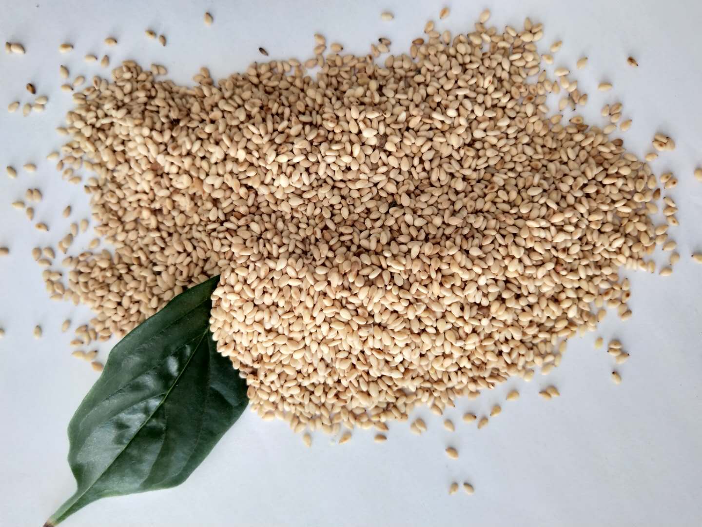大連批發(fā)芝麻醬芝麻廠家生產(chǎn)-三英品牌-質(zhì)量好價格合理