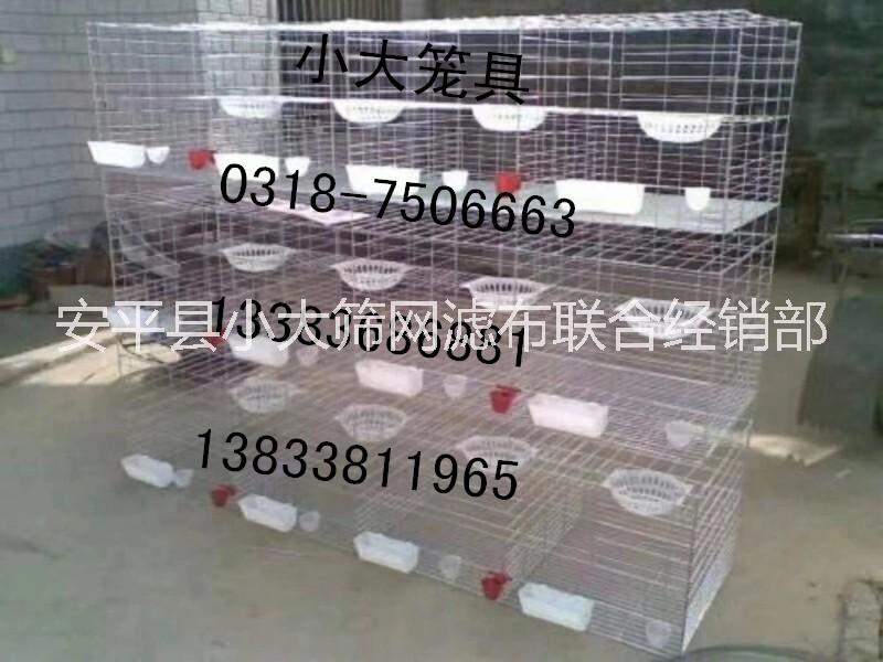 出售鴿子籠 兔子籠 *籠出售鴿子籠 兔子籠 *籠 鷓鴣籠 運(yùn)輸籠 雞籠 狗籠 鳥(niǎo)籠 塑料筐 飼料盒 飲水器