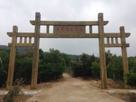 仿木花架  庭院木架長(zhǎng)廊 木架長(zhǎng)廊廠家 木架長(zhǎng)廊價(jià)格 庭院木架長(zhǎng)廊 園林景觀 仿木花架