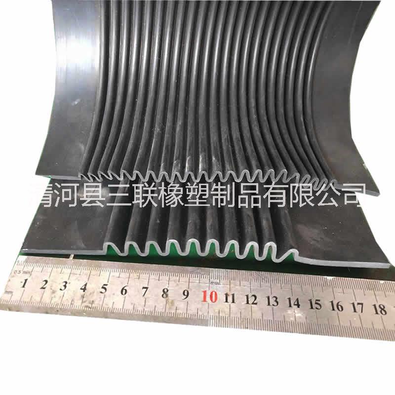 公路橋墩變形縫 隧道防水膠皮風(fēng)琴板 鐵路伸縮帶 電梯變形條