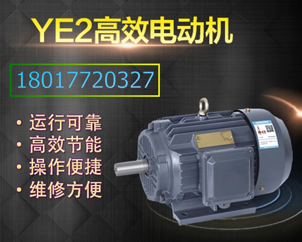 上海左力 YE2普通電機(jī) YE2