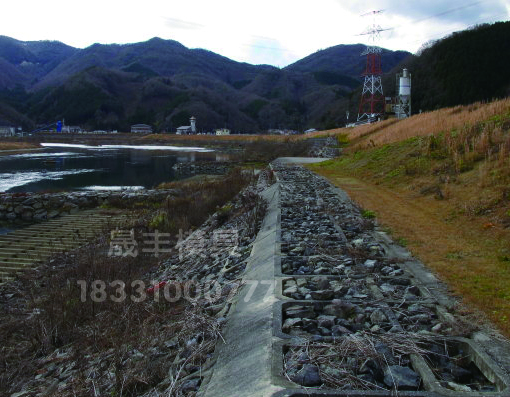 水利生態(tài)護坡模具階梯式護坡保定晟豐模具