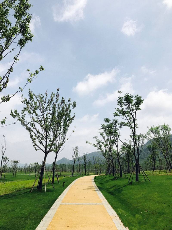 綠地養(yǎng)護 花園養(yǎng)護  公園養(yǎng)護 上海諧積園林有專業(yè)技術(shù)