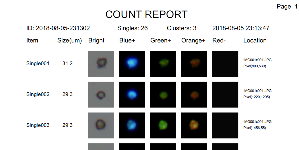 全自動(dòng)顯微鏡 全自動(dòng)熒光顯微鏡