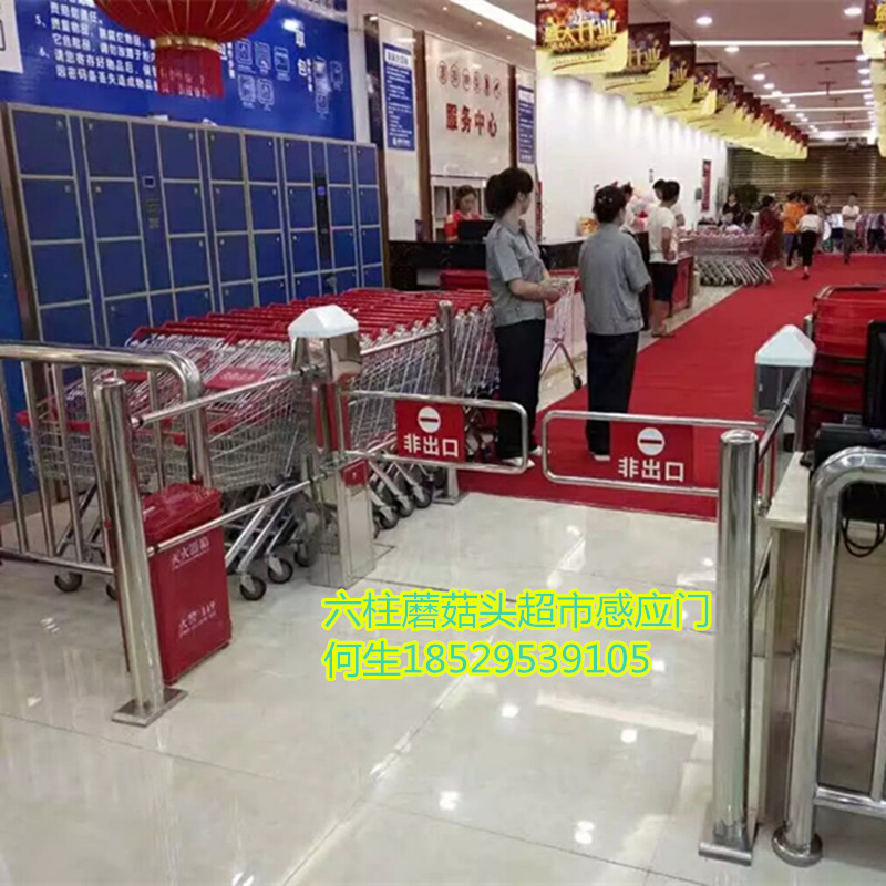 超市感應(yīng)門(mén) 人行智能通道閘