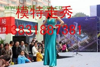禮儀公司/禮儀*【衡水潔美文化】