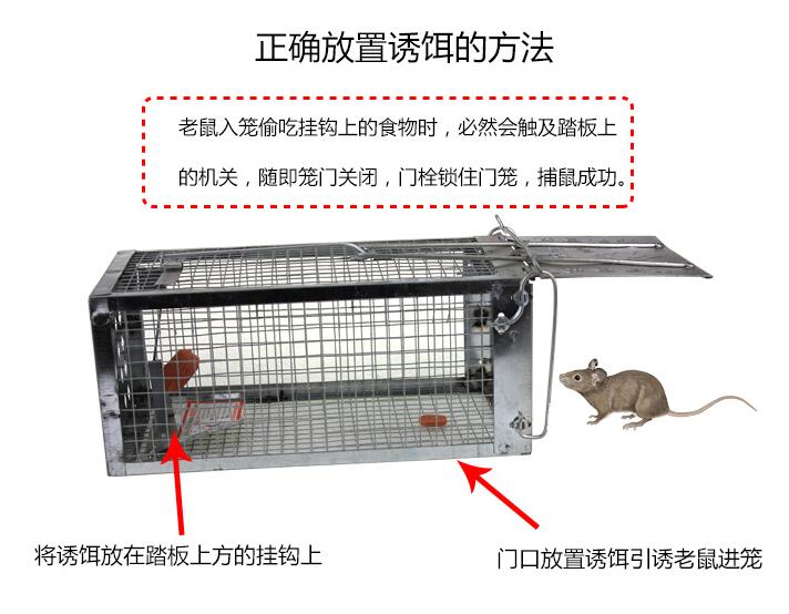 單開(kāi)門(mén)捕鼠籠 * 安全 環(huán)保