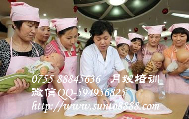 好口碑信拓家政提供大量赴港育嬰師做飯阿姨   深圳信拓家政赴港服務(wù)