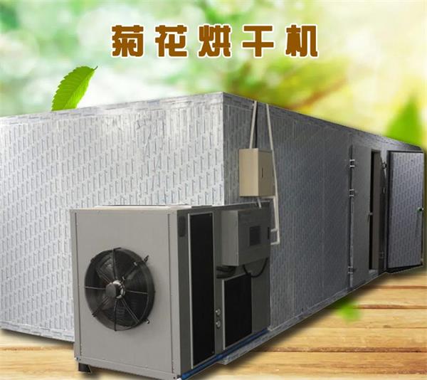 菊花烘干房生產廠家 金絲皇菊烘干機廠家