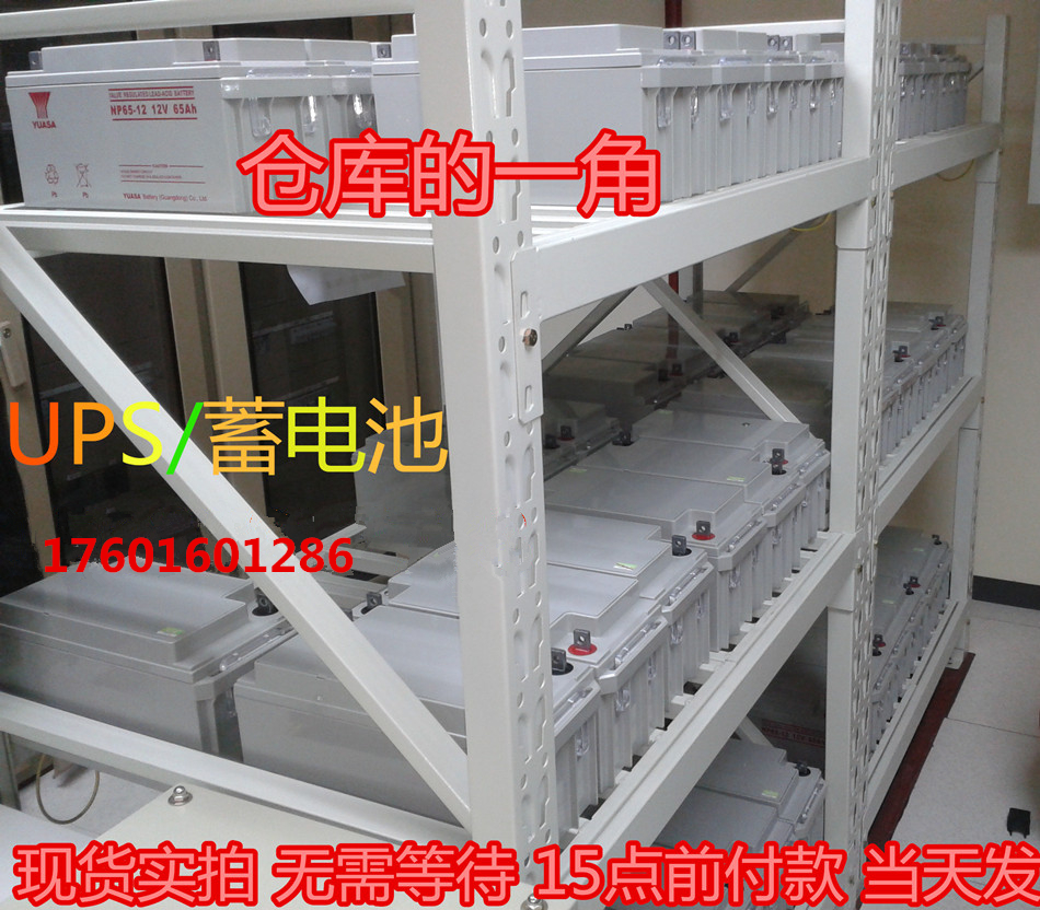 湯淺蓄電池NP100-12