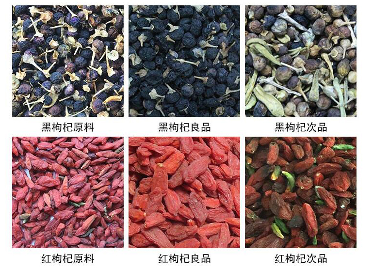 色選機 枸杞色選機 黑枸杞色選機 小型枸杞色選機  彩色枸杞色選機