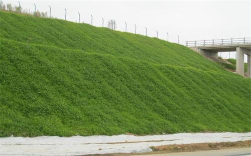 植生毯   植生毯價(jià)格 椰絲毯廠家