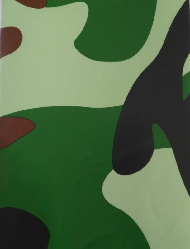 山東彩鋼板山東彩涂板供應(yīng)廠家生產(chǎn)廠家