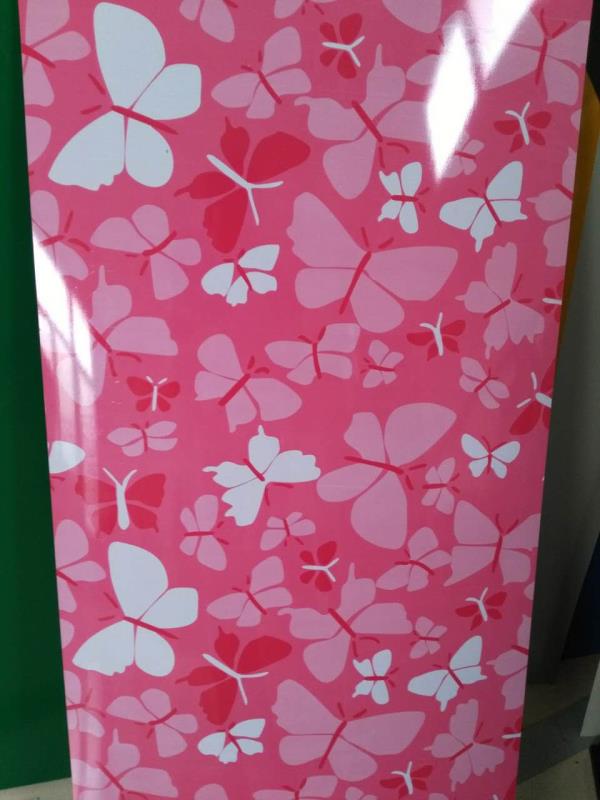 供應彩鋼卷 供應印花彩鋼卷