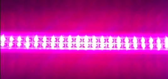 LED植物組培*燈價(jià)格 LED組培燈廠家 濟(jì)南騰昊