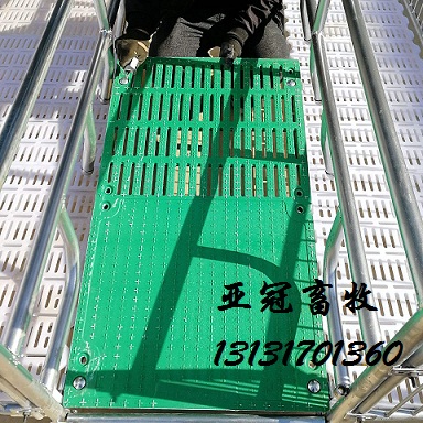 全復(fù)合板母豬產(chǎn)床廠家
