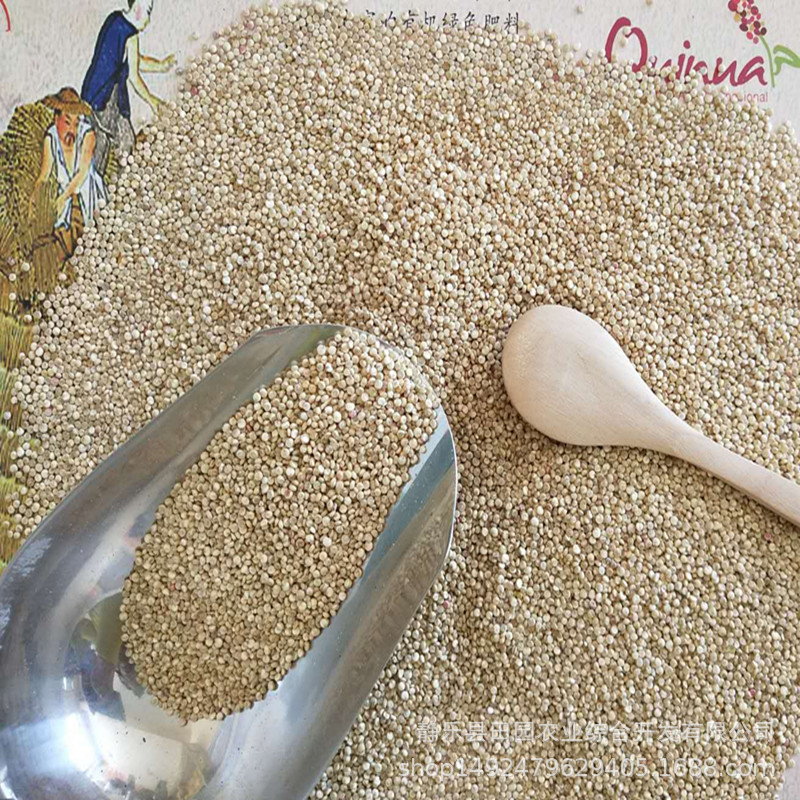 藜麥山西藜麥供應(yīng)商山西藜麥廠家山西藜麥批發(fā)靜樂藜麥產(chǎn)地直銷山西靜樂藜麥2斤裝禮盒批發(fā)