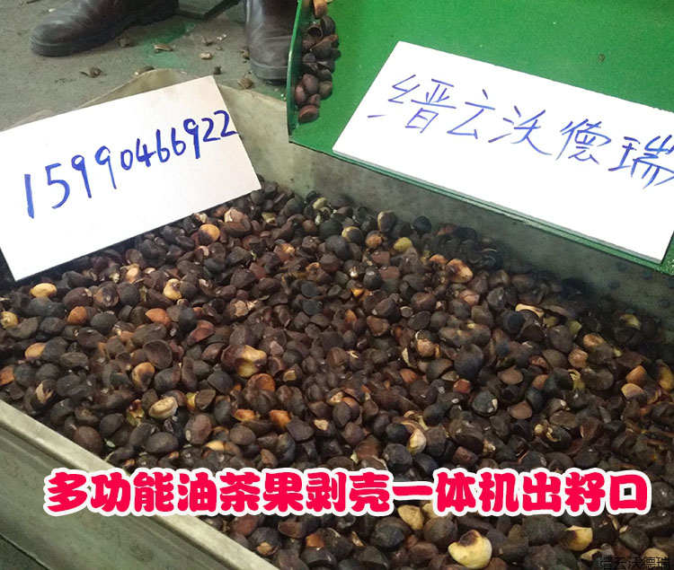分離一體機(jī)茶籽剝殼機(jī)哪里有-河南買分離一體機(jī)茶籽剝殼機(jī)-浙江油茶果剝殼機(jī)直銷-油茶果剝殼分選 河南買分離一體機(jī)茶籽剝殼機(jī)