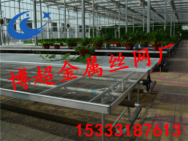 移動苗床和潮汐式苗床有什么區(qū)別？